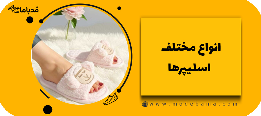 انواع مختلف اسلیپرها